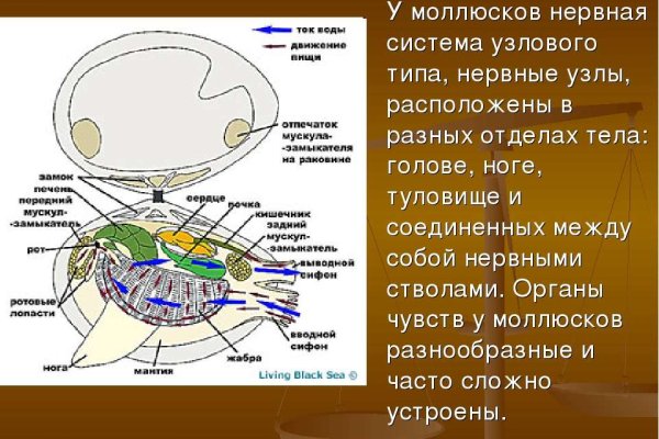 Кракен даркнет стор