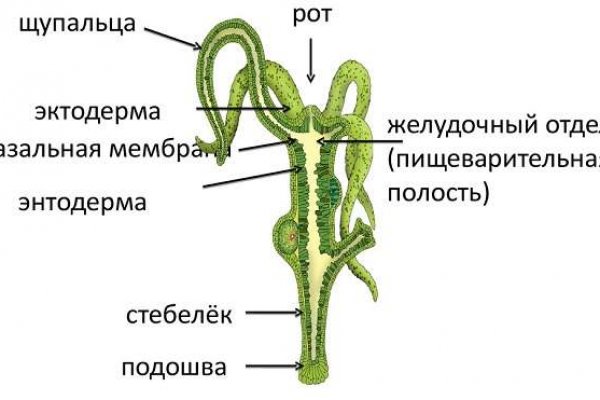 Кракен даркнет ссылка